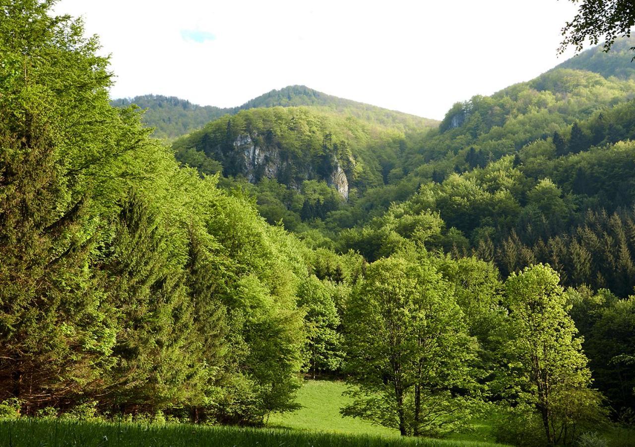 Penzion Pod Strazovom Pruzina Exteriér fotografie
